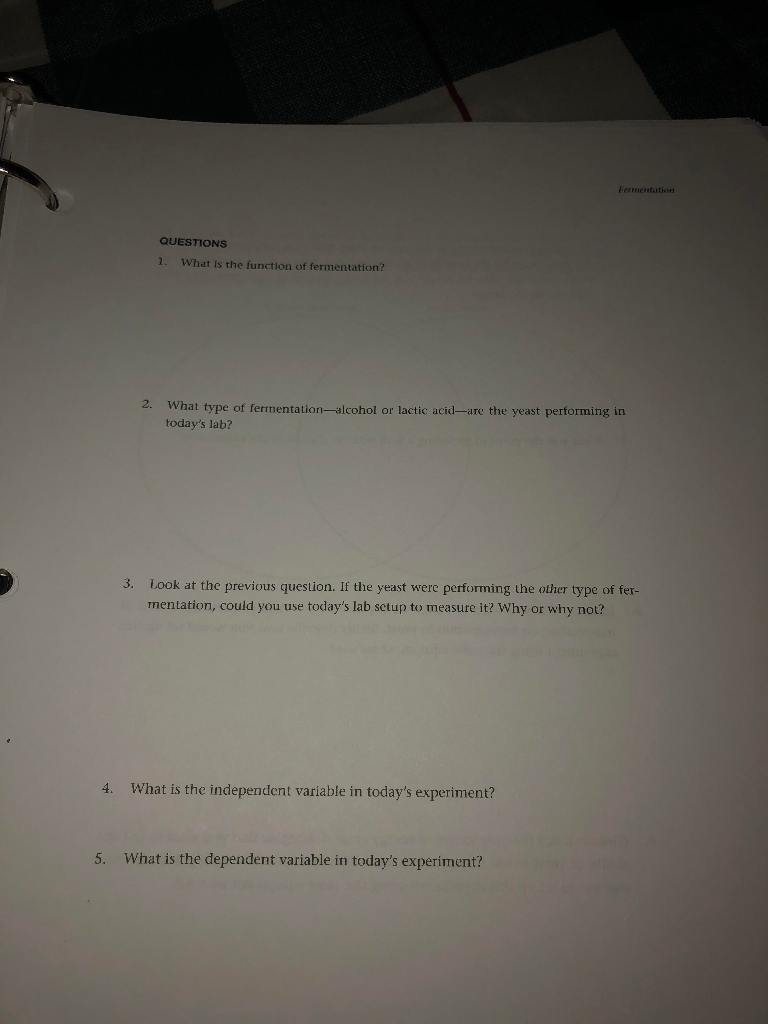 Solved Fermentation QUESTIONS 7. What is the function of | Chegg.com