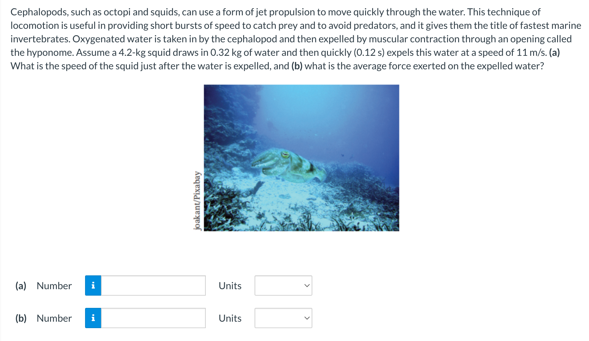 Solved Cephalopods, such as octopi and squids, can use a | Chegg.com
