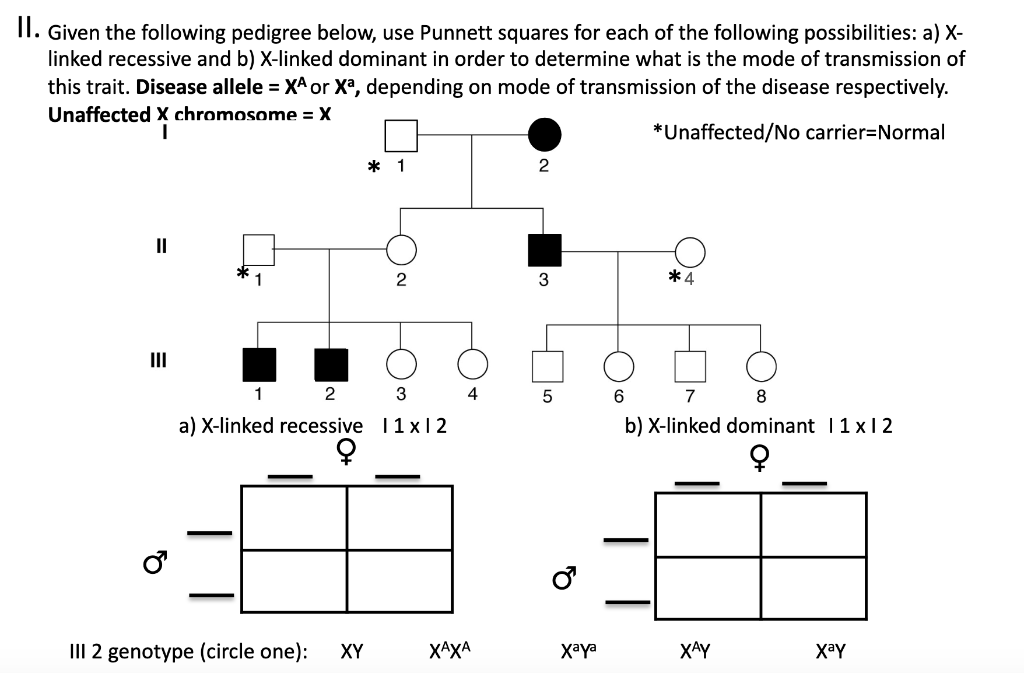 Solved I. Given the following pedigree below, use Punnett | Chegg.com