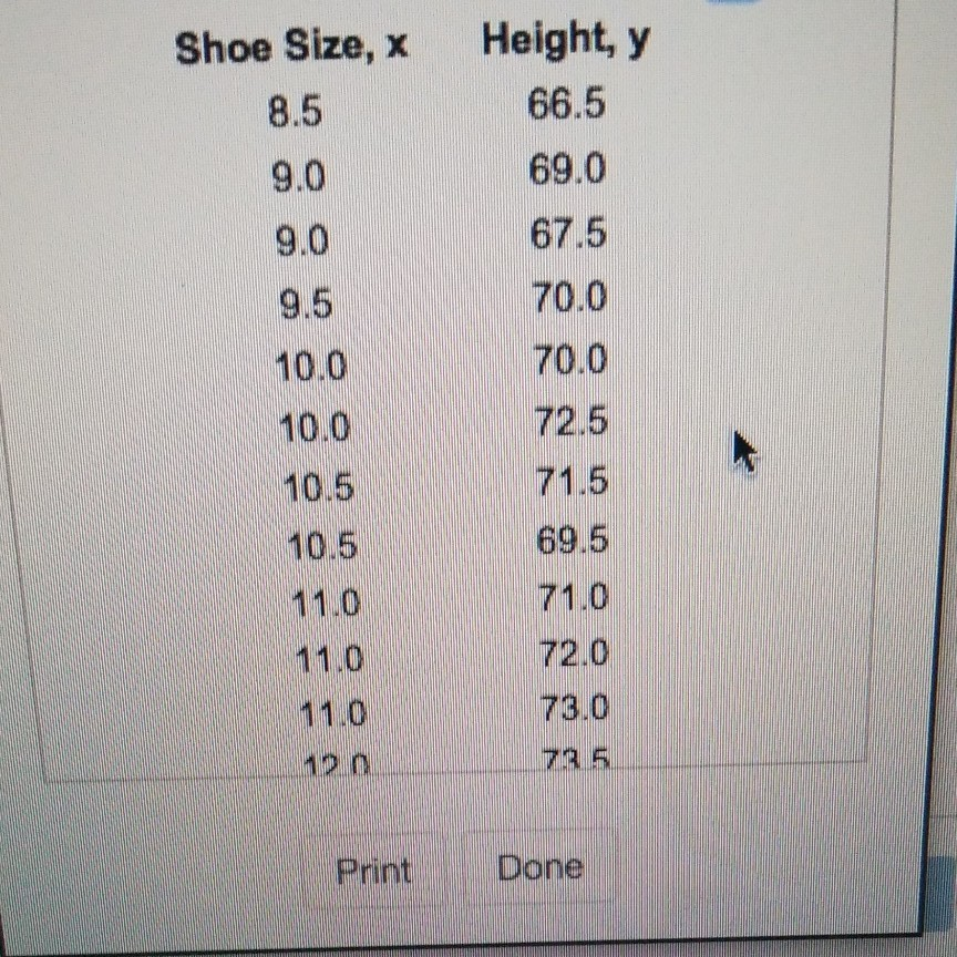 size 14 shoe in inches