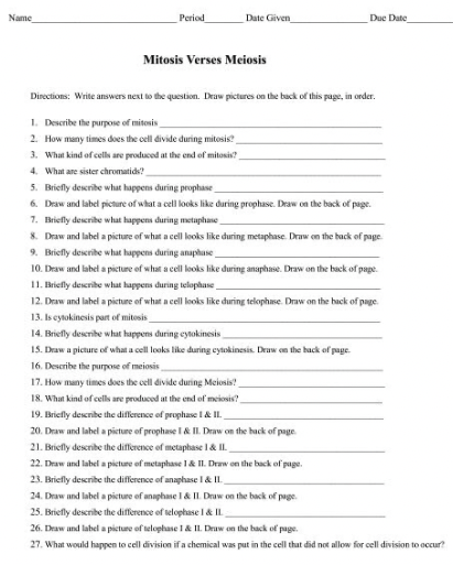 Solved Mitosis Verses MeiosisDincctions: Write answers next | Chegg.com