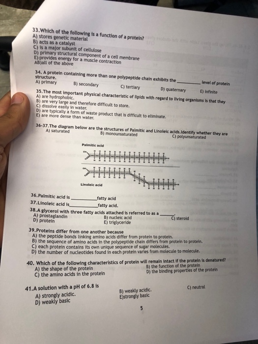 Solved 33.Which of the following is a function of a protein? | Chegg.com