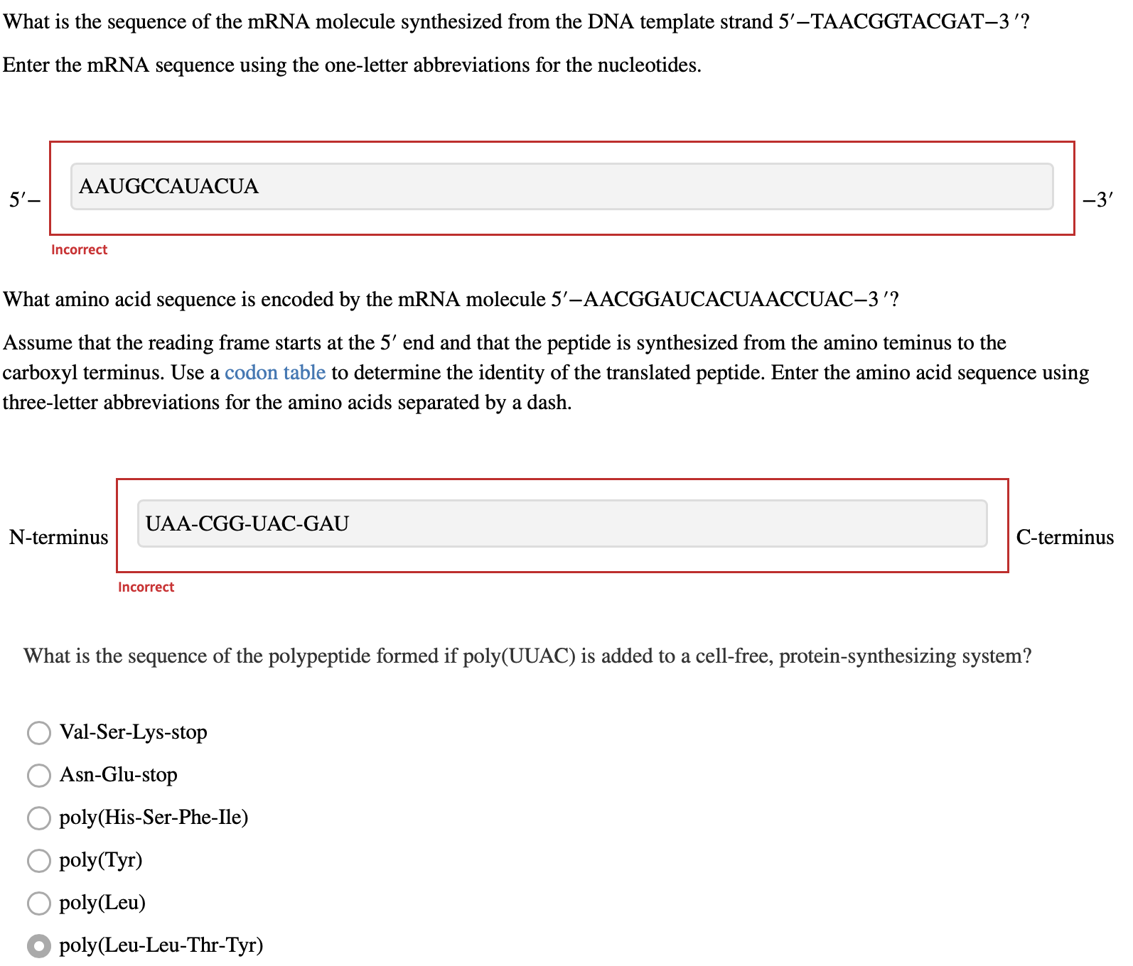 Solved What is the sequence of the mRNA molecule synthesized | Chegg.com