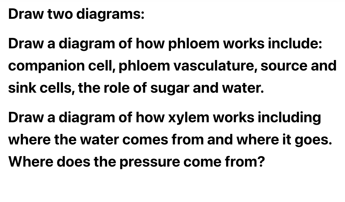 Solved Draw two diagrams: Draw a diagram of how phloem works | Chegg.com