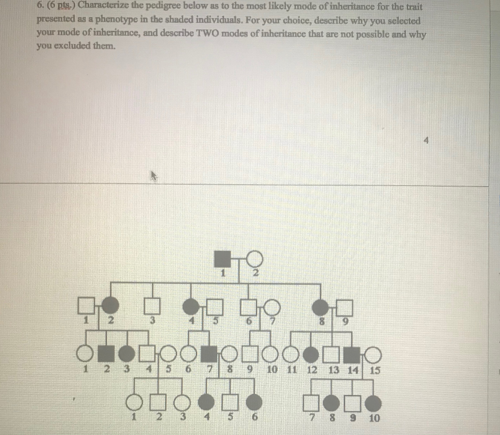 Solved 6 6 Pts Characterize The Pedigree Below As To The 7584