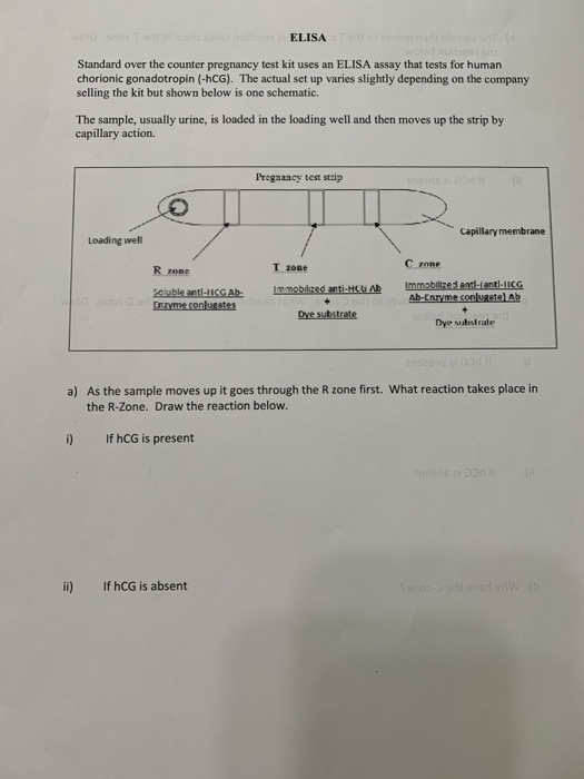 ELISA Standard over the counter pregnancy test kit