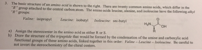 Solved 3. The basic structure of an amino acid is shown to | Chegg.com