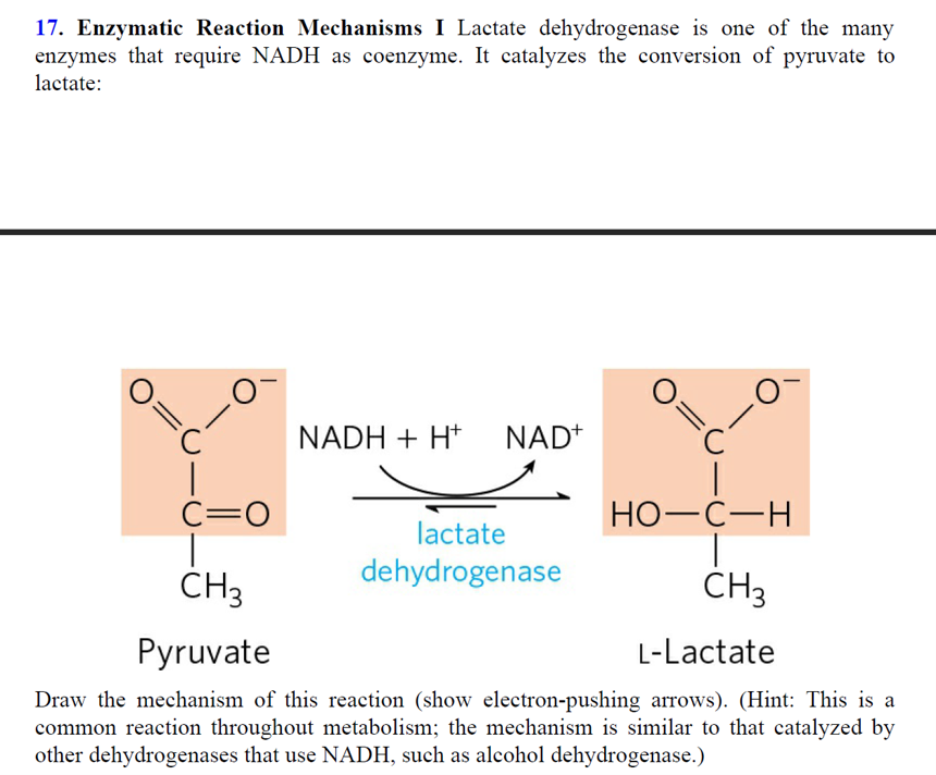 Solved 17. Enzymatic Reaction Mechanisms I Lactate