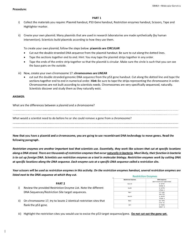 Solved Molecular Genetics Biotechnology 1 NA Name: Dry Lab: | Chegg.com