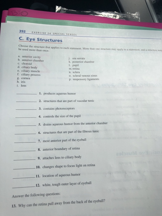 Solved Name Date Section Reviewing Your Knowledge EXERCISE | Chegg.com