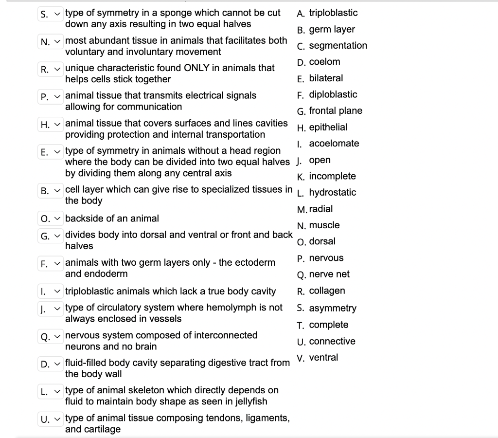 Solved type of symmetry in a sponge which cannot be cut down