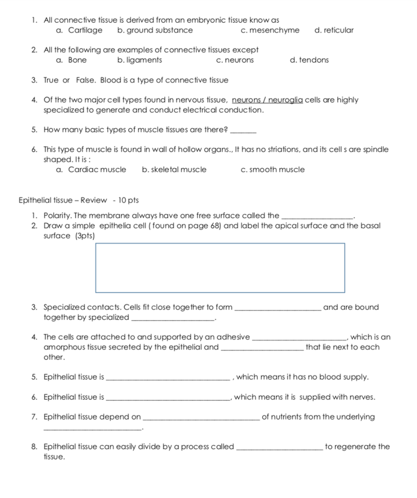 Solved 1. All connective tissue is derived from an embryonic | Chegg.com