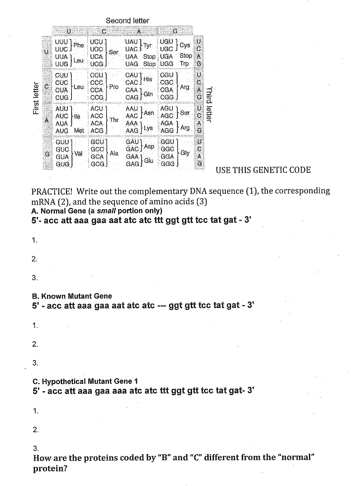 Solved B. Known Mutant Gene 5′ - acc att aaa gaa aat atc atc | Chegg.com