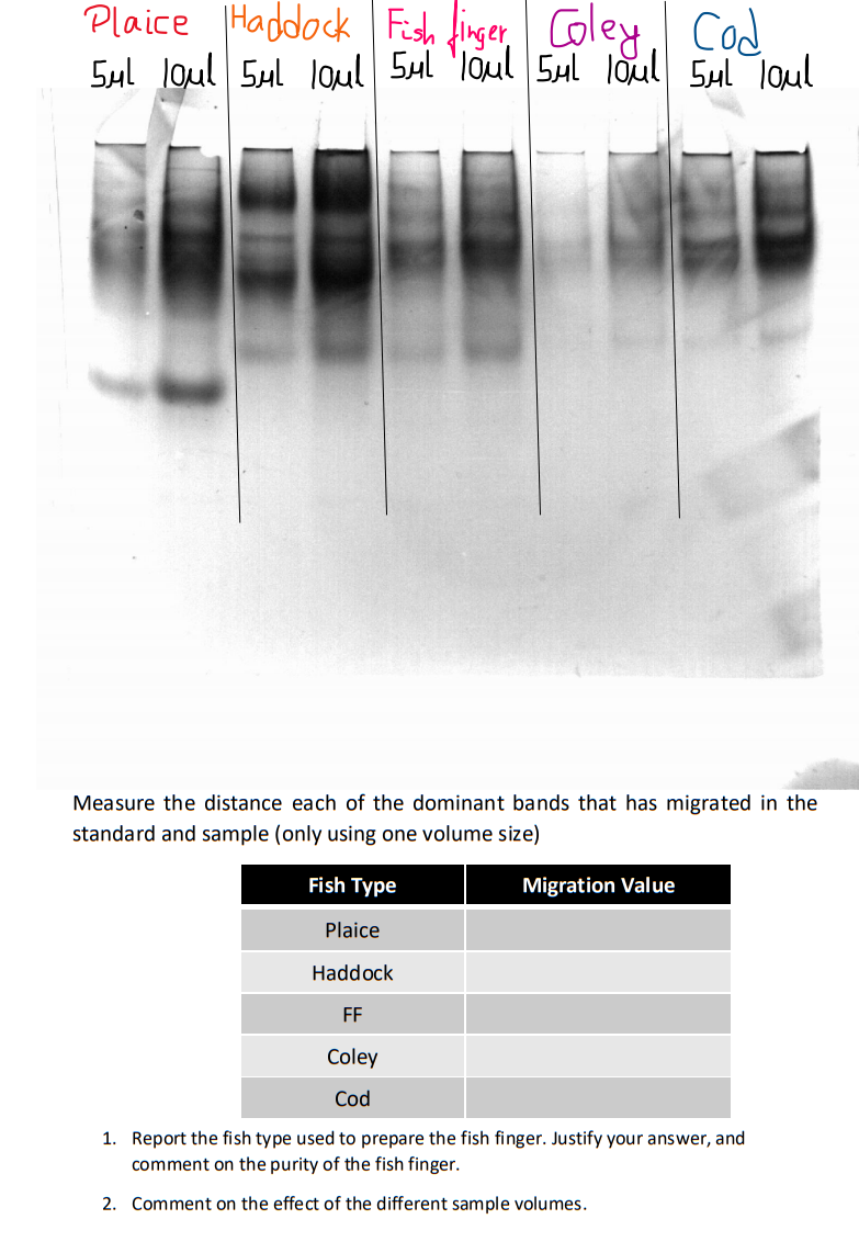 Solved Plaice Haddock Fish finger, Coley, Cod Sul loul Sul