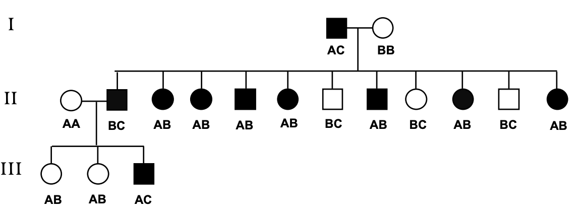 Solved You have obtained a human pedigree showing the | Chegg.com