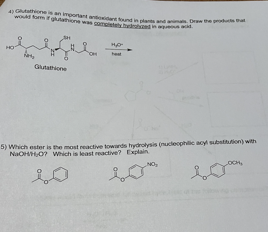 Solved 4) Glutathione is an important antioxidant found in