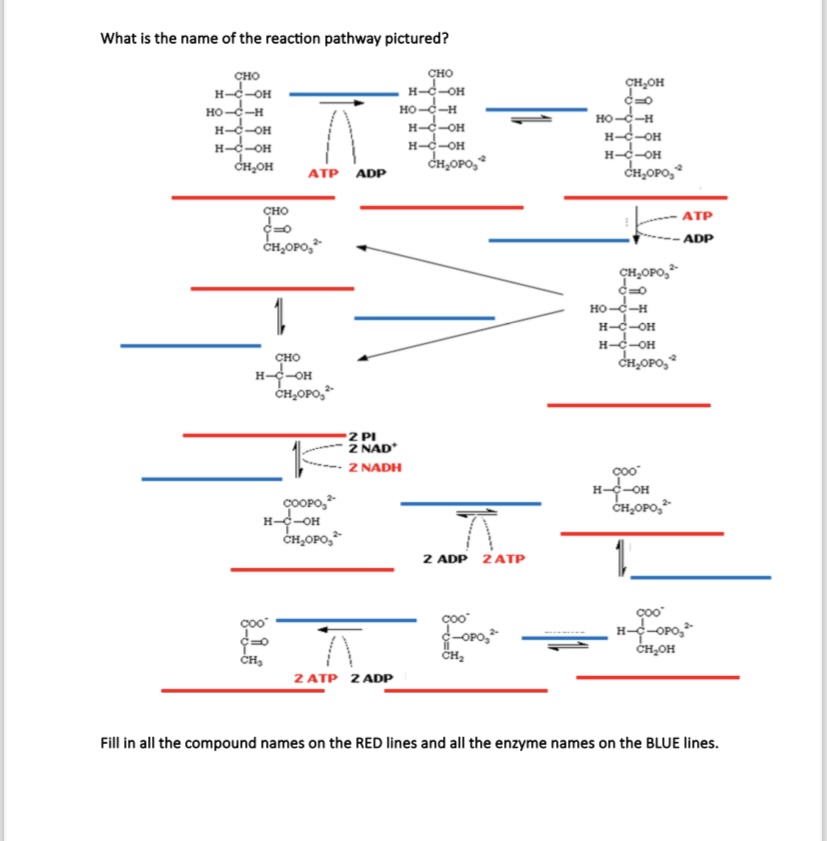 Reaction Path Labeled What is the name of the reaction pathway | Chegg.com