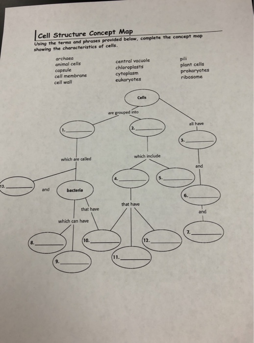 Solved Cell Structure Concept Map Using the terms and | Chegg.com