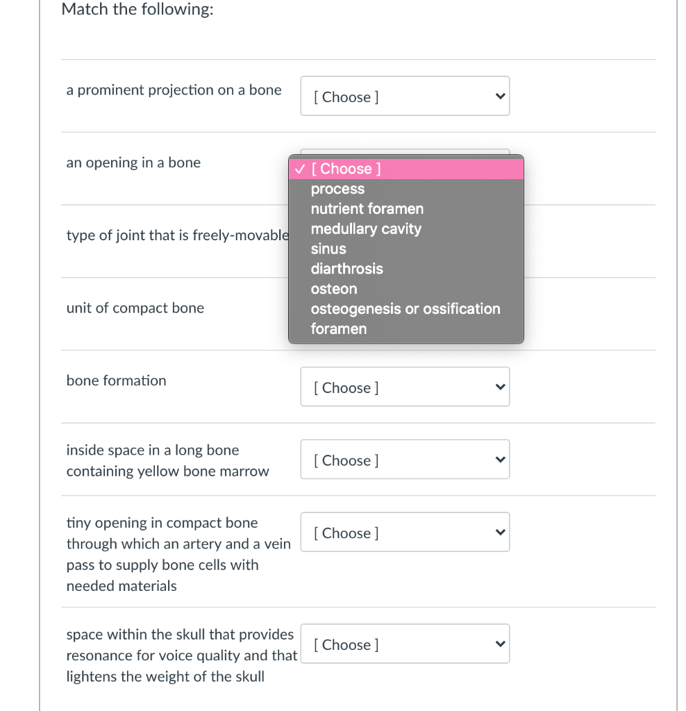 Solved Match The Types Of Bones With Their Descriptions Chegg Com
