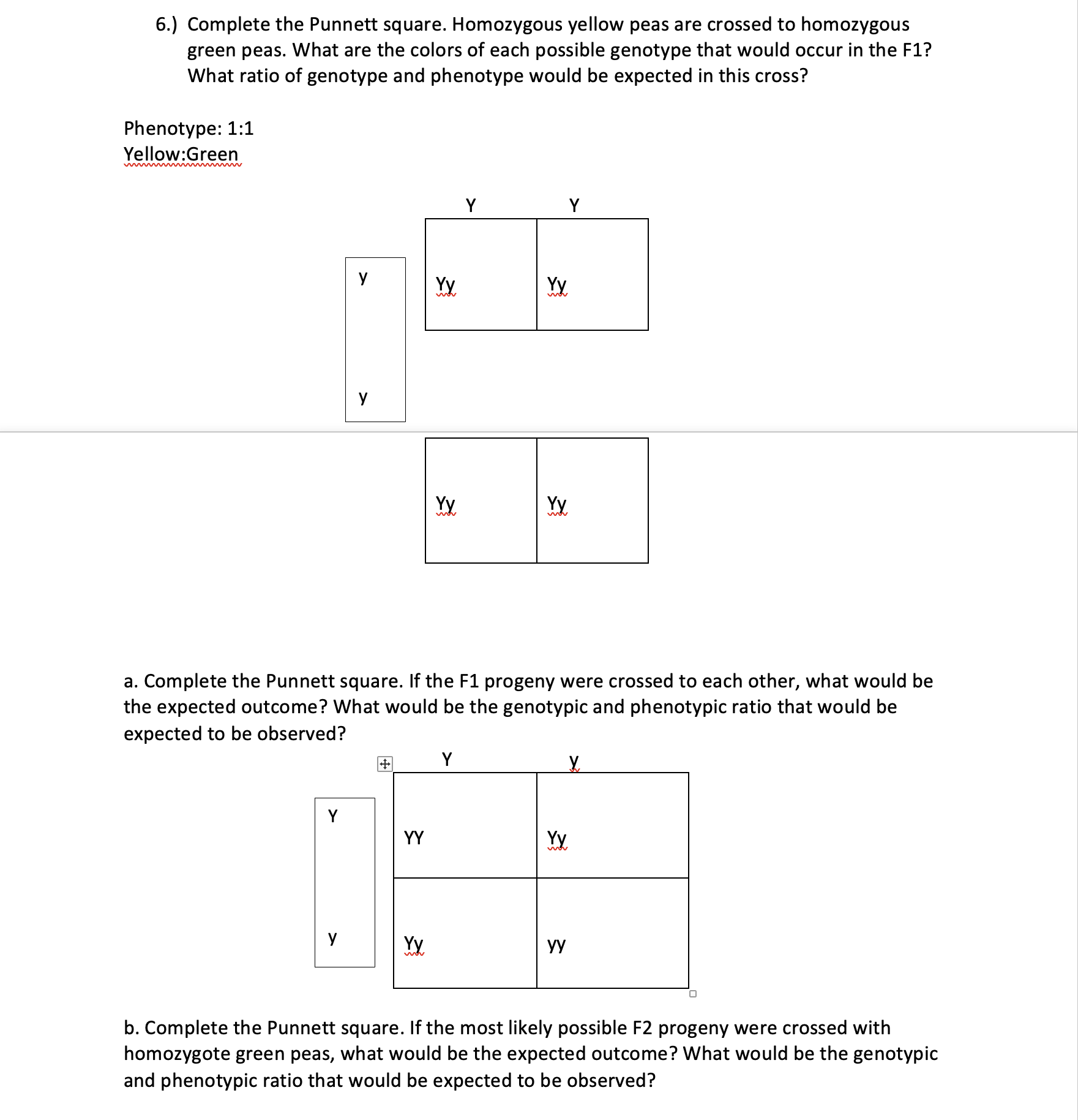 Solved 6.) Complete the Punnett square. Homozygous yellow | Chegg.com