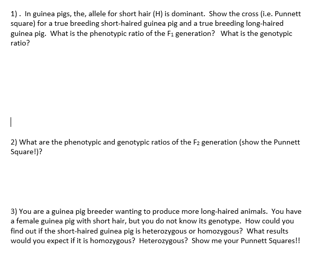 solved-in-guinea-pigs-the-allele-for-short-hair-h-is-chegg