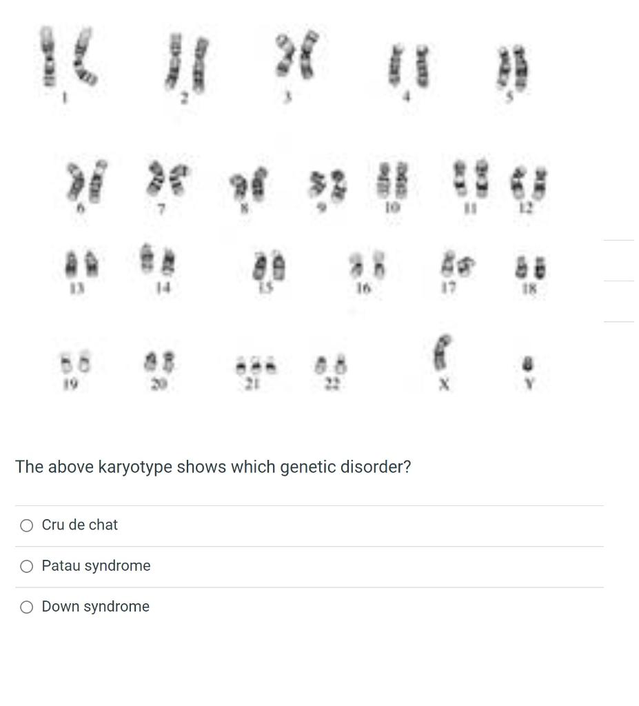 solved-1-mendel-s-law-of-segregation-is-supported-by-a-chegg