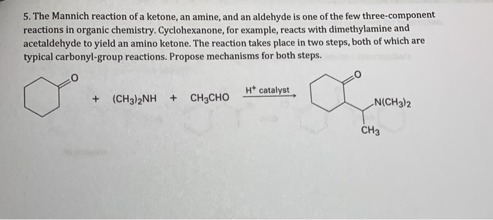 Solved 5. The Mannich reaction of a ketone, an amine, and an | Chegg.com