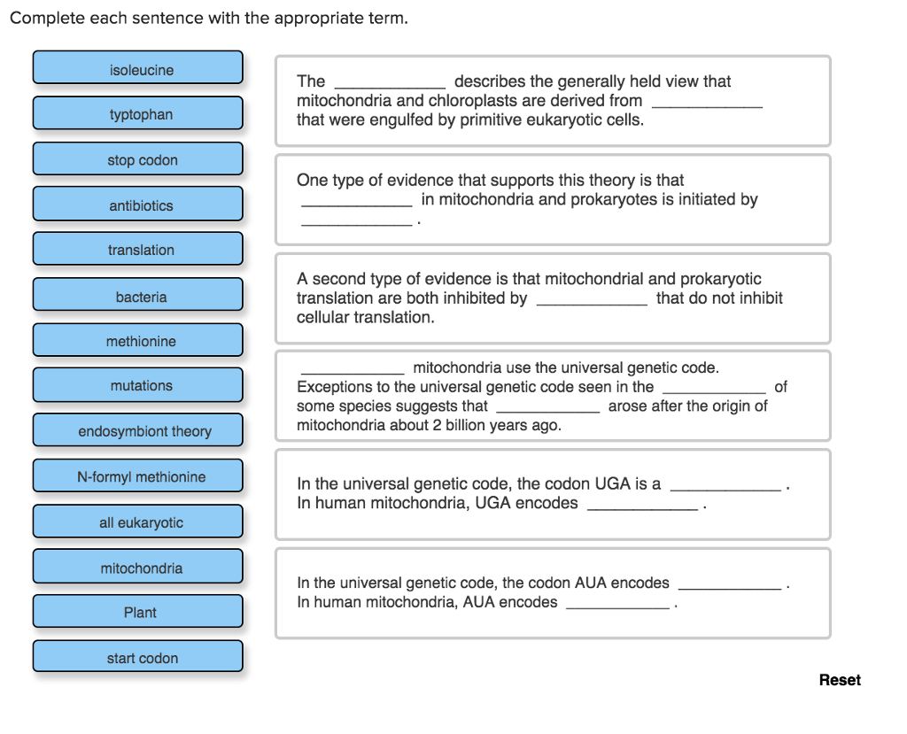 Solved Complete each sentence with the appropriate term | Chegg.com