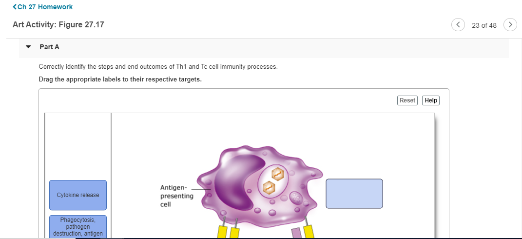 Solved Part A Correctly identify the steps and end outcomes | Chegg.com