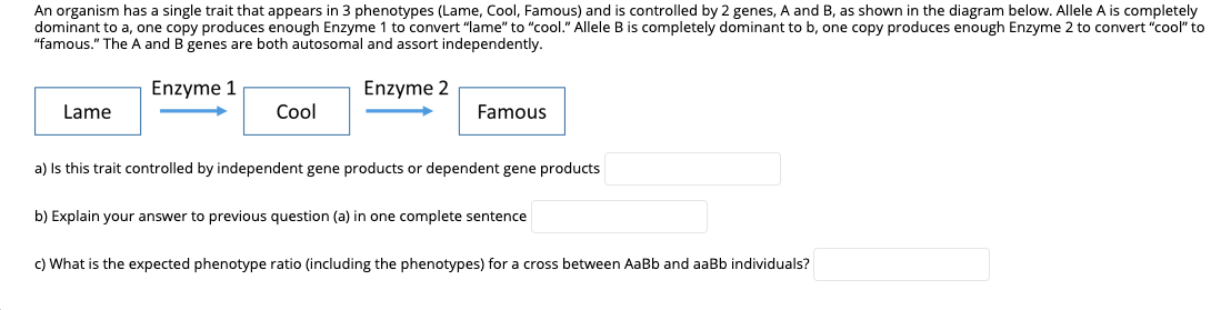 Solved An organism has a single trait that appears in 3 | Chegg.com