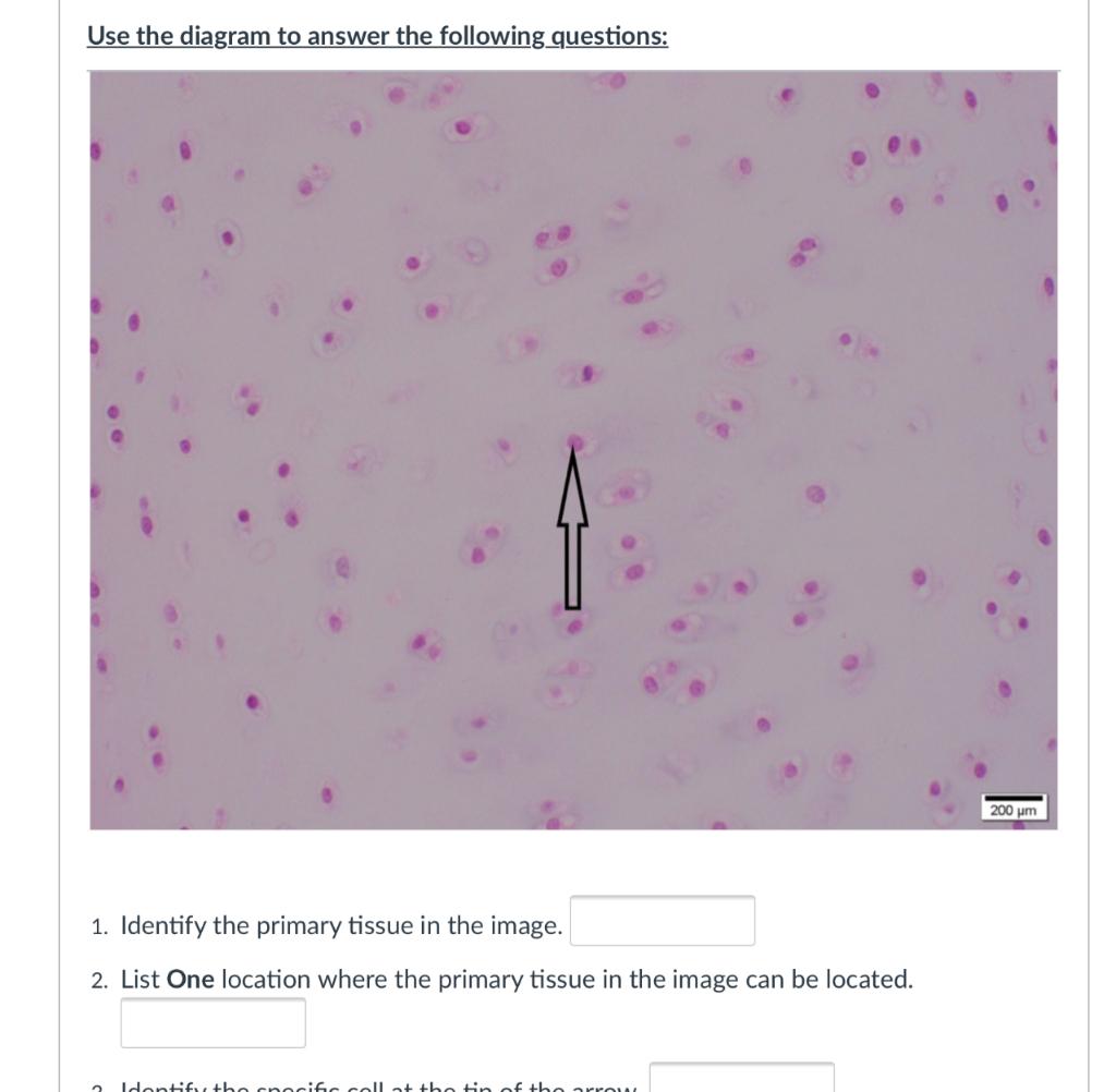 Solved Use The Diagram To Answer The Following Questions: | Chegg.com