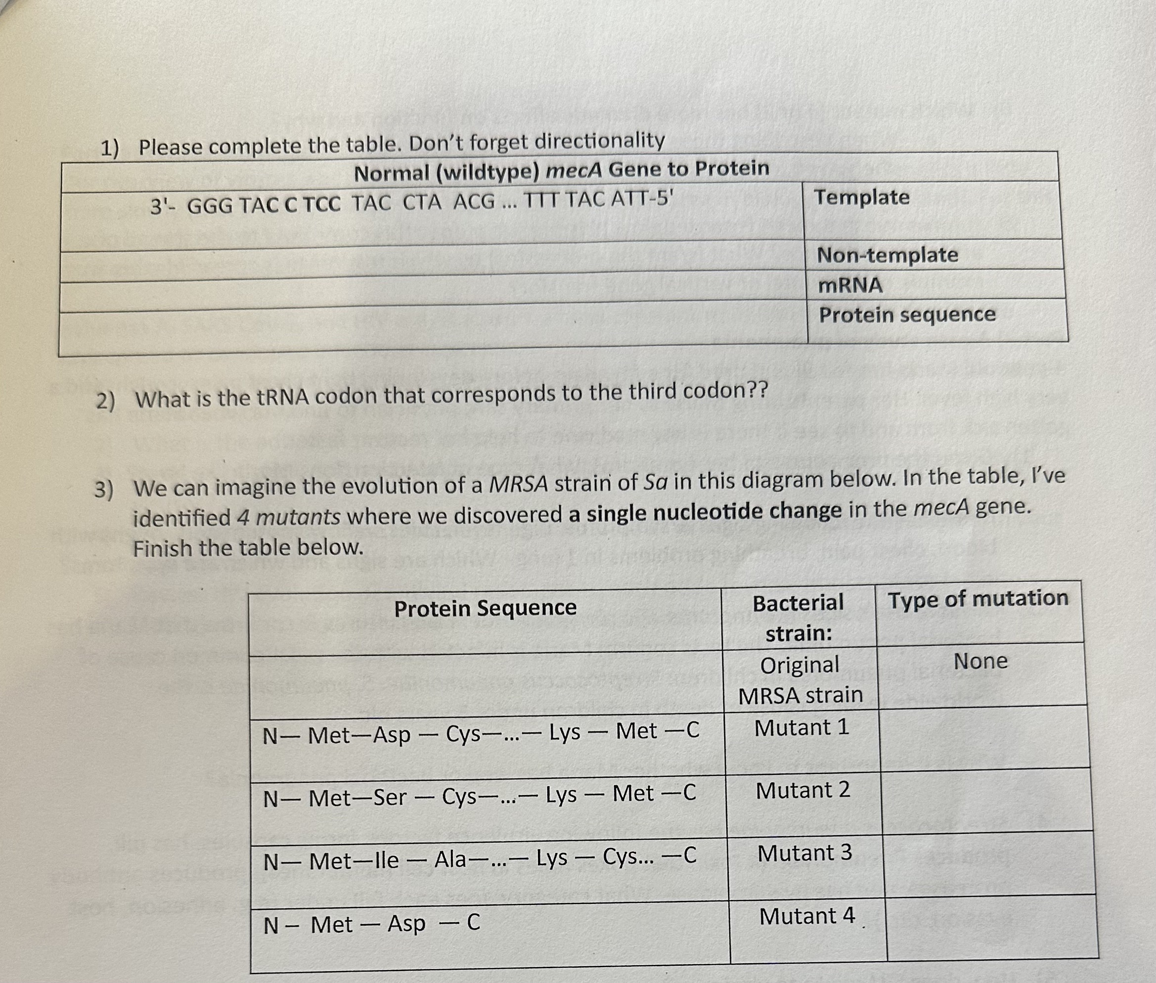2) What is the tRNA codon that corresponds to the