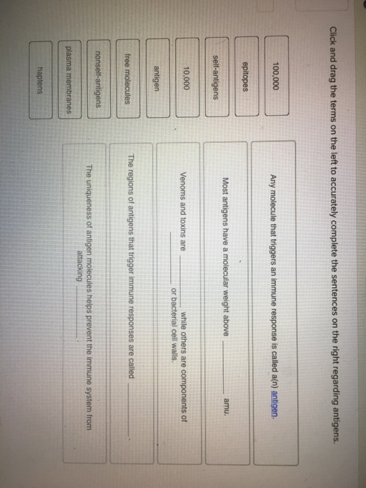 Solved Click and drag the terms on the left to accurately
