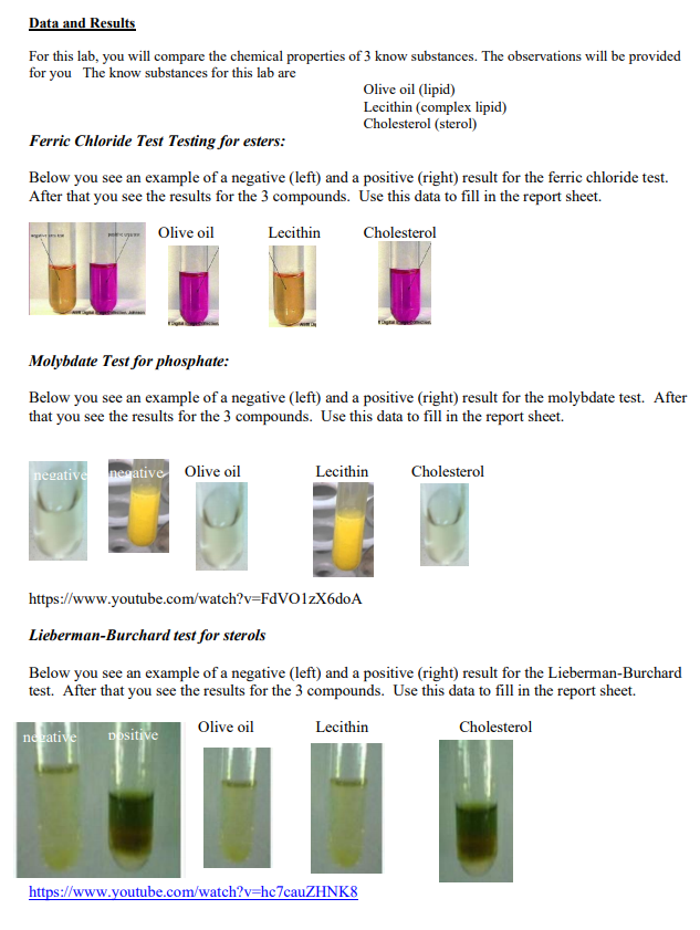 Solved Ferric Chloride Test for Esters Esters can easily be