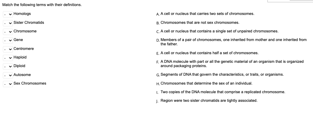 Solved Match the following terms with their definitions. Chegg