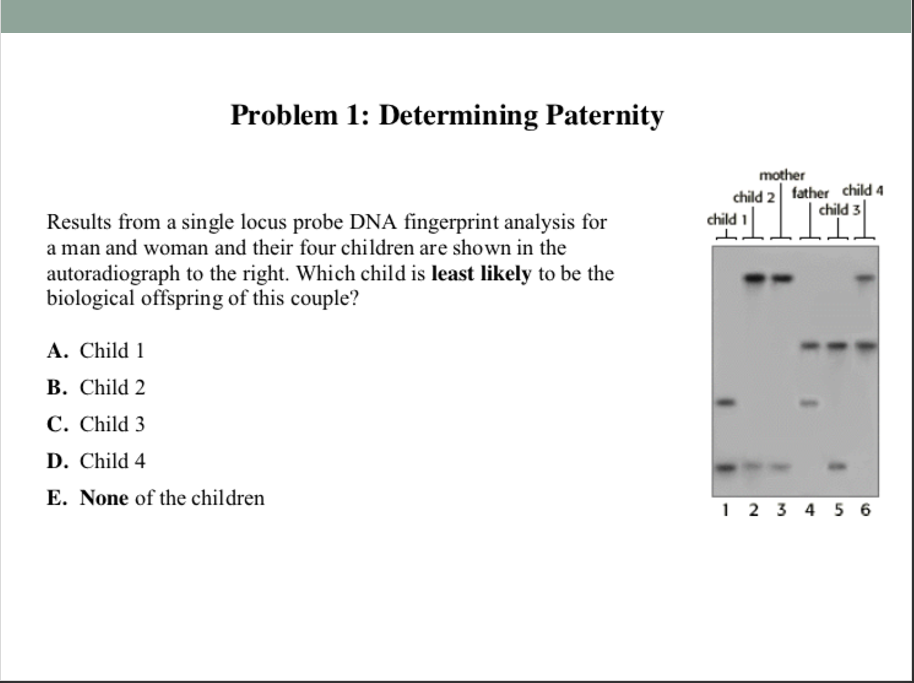 Solved Problem 1 Determining Paternity Mother Child 2 Fa Chegg Com