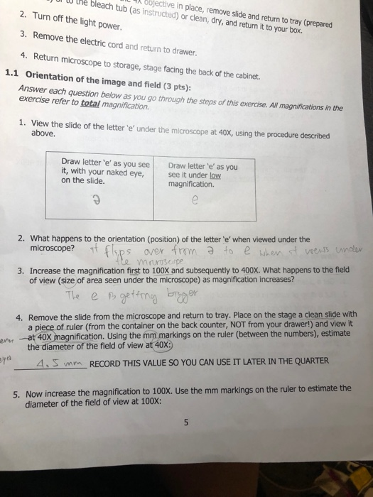  Letter E Microscope Lab Worksheet Free Download Goodimg co