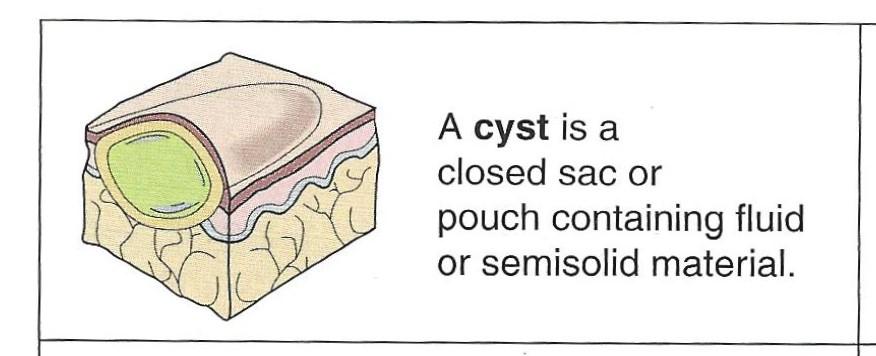 closed sac containing fluid or semisolid material