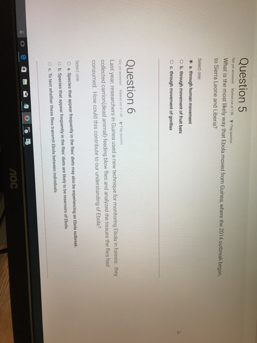 Solved Question 3 Not yet answered Marked out of 100 F Flag | Chegg.com