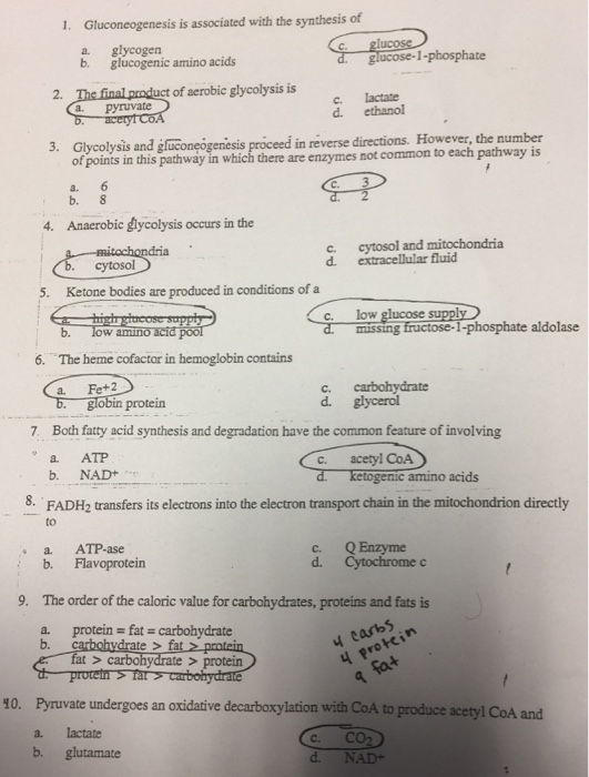 Solved Gluconeogenesis Is Associated With The Synthesis Of