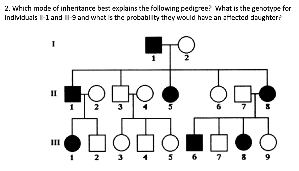 Solved Family pedigree practice problems For questions 12