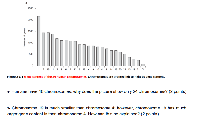 Solved 4- Look at the following figures and answer the | Chegg.com