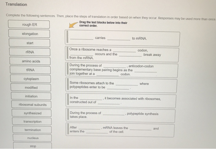 Translation Complete the following sentences Then; | Chegg.com