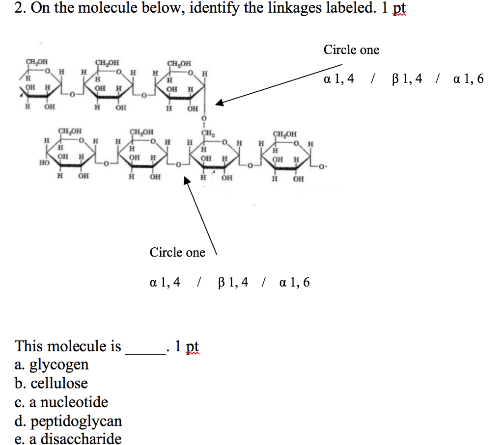 Solved 2. On the molecule below, identify the linkages