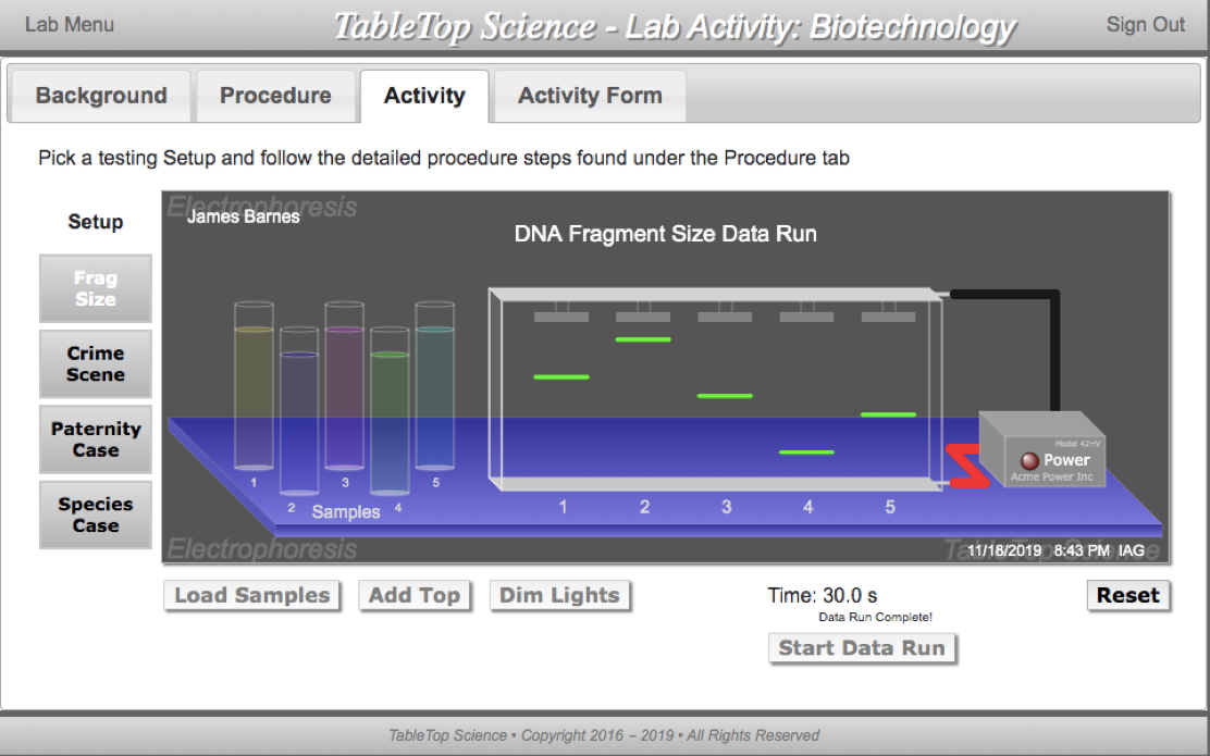 Solved Procedure I DNA Fragment Size In The Table Below