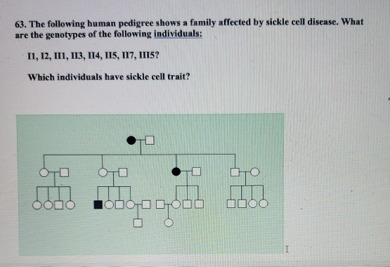 Solved 63. The following human pedigree shows a family | Chegg.com
