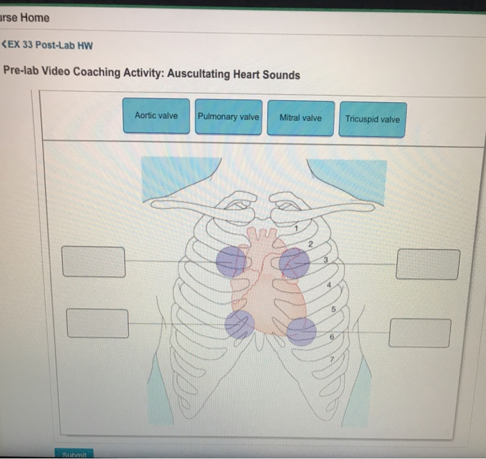 Solved rse Home EX 33 Post-Lab HW Pre-lab Video Coaching | Chegg.com