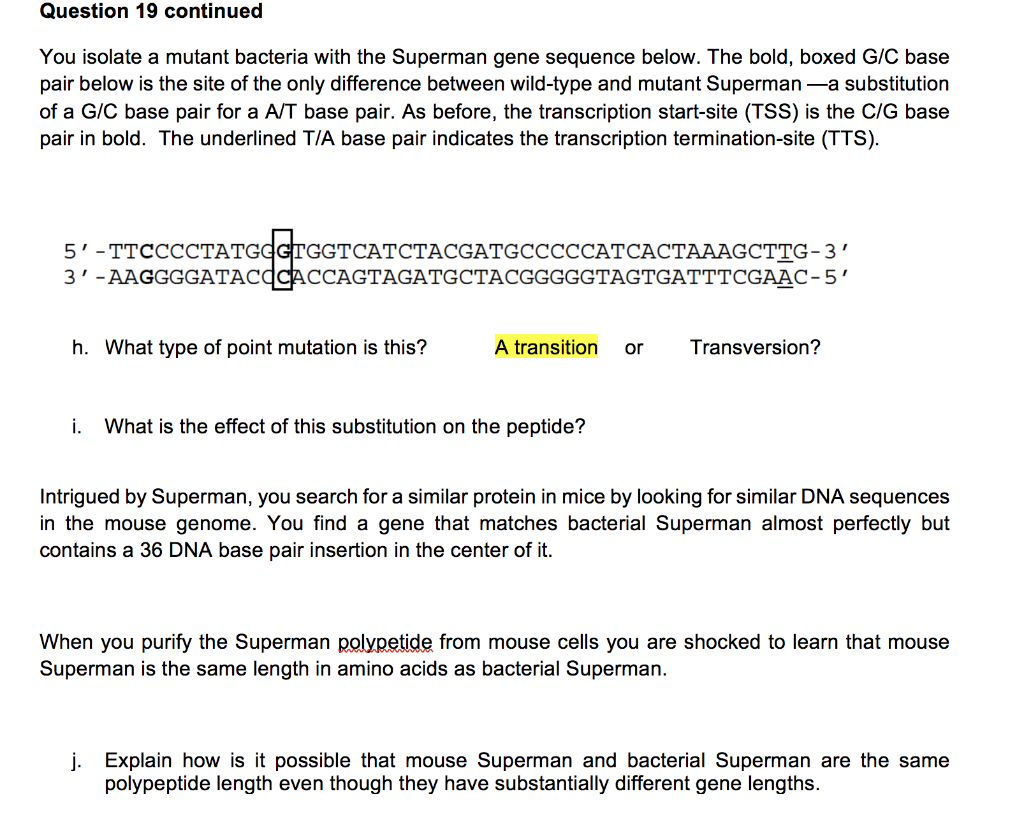 Solved 19. [14 PTS] The following sequence of DNA encodes a | Chegg.com