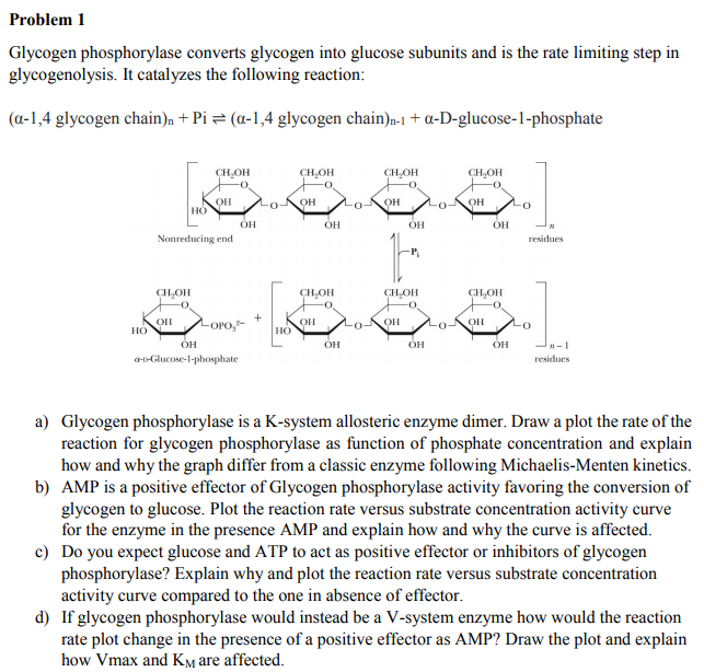 Solved Problem 1 Glycogen phosphorylase converts glycogen