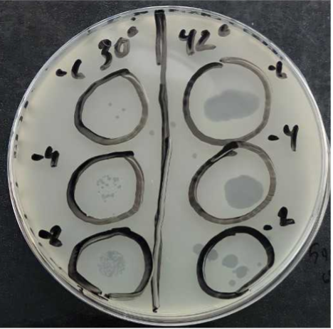 Solved A very amazing expert her on chegg helped me with a | Chegg.com